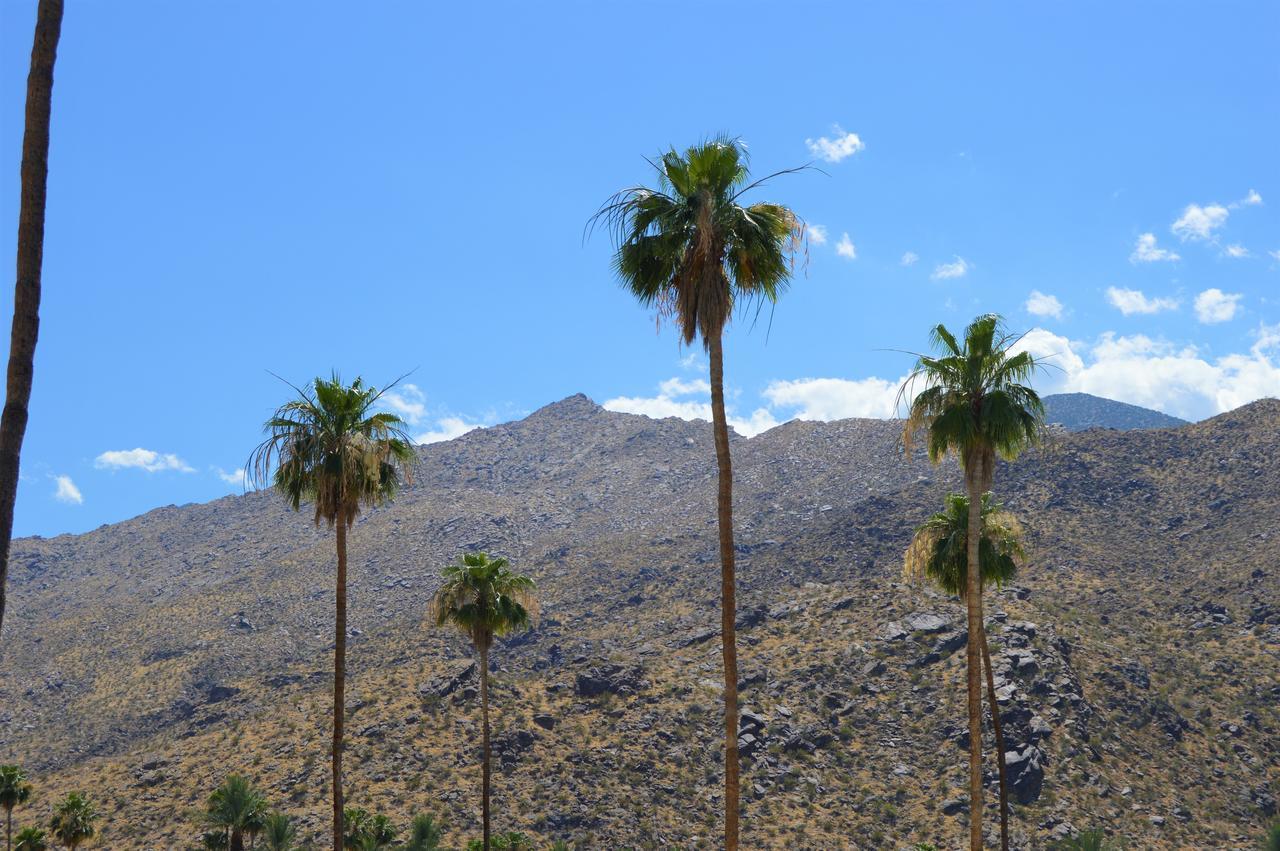 Musicland Hotel Palm Springs Extérieur photo